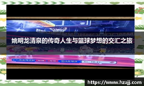 美嘉体育