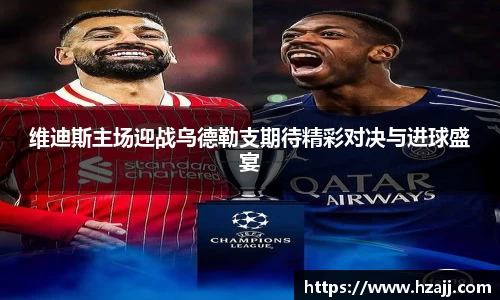 美嘉体育官方网站