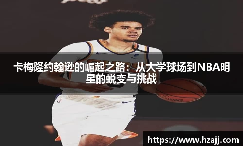 美嘉体育官网